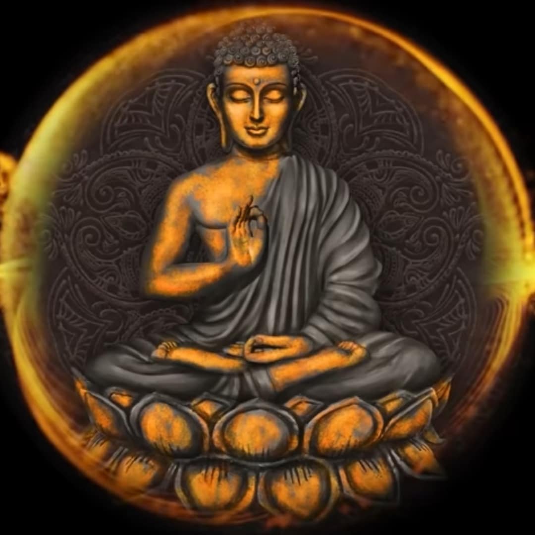 b-owltherapy coaching énergétique - galerie