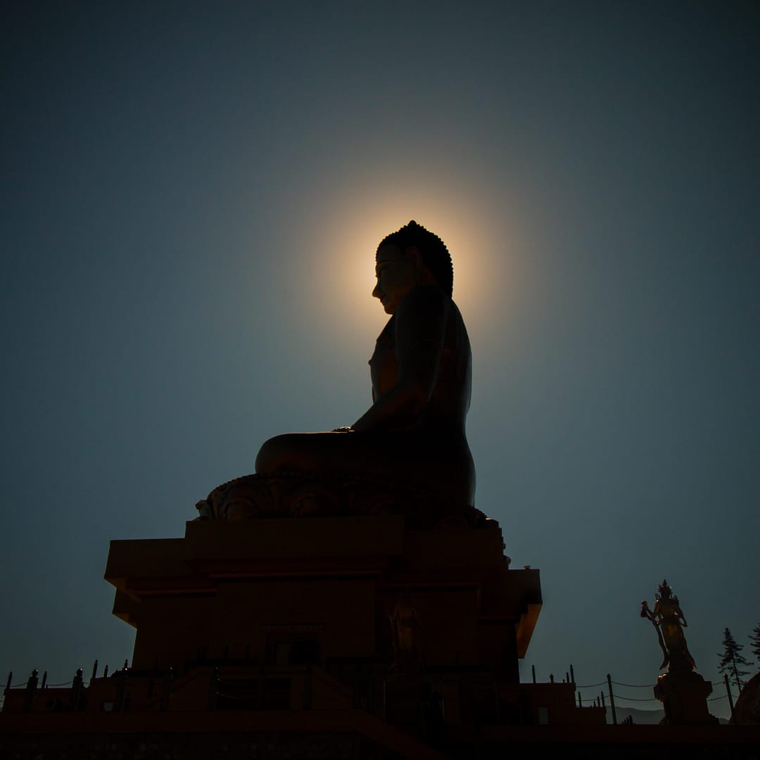 b-owltherapy galerie bouddha meditation