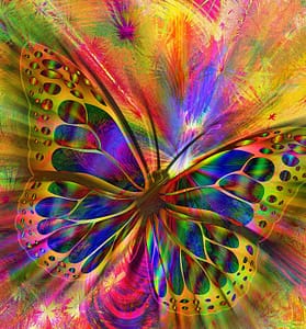 B-owltherapy coaching énergétique
