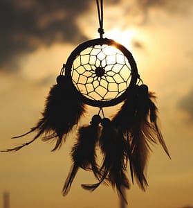 b-owltherapy coaching énergétique