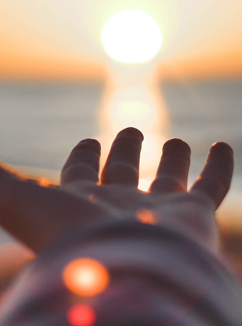 b-owl therapy accueil coaching énergétique