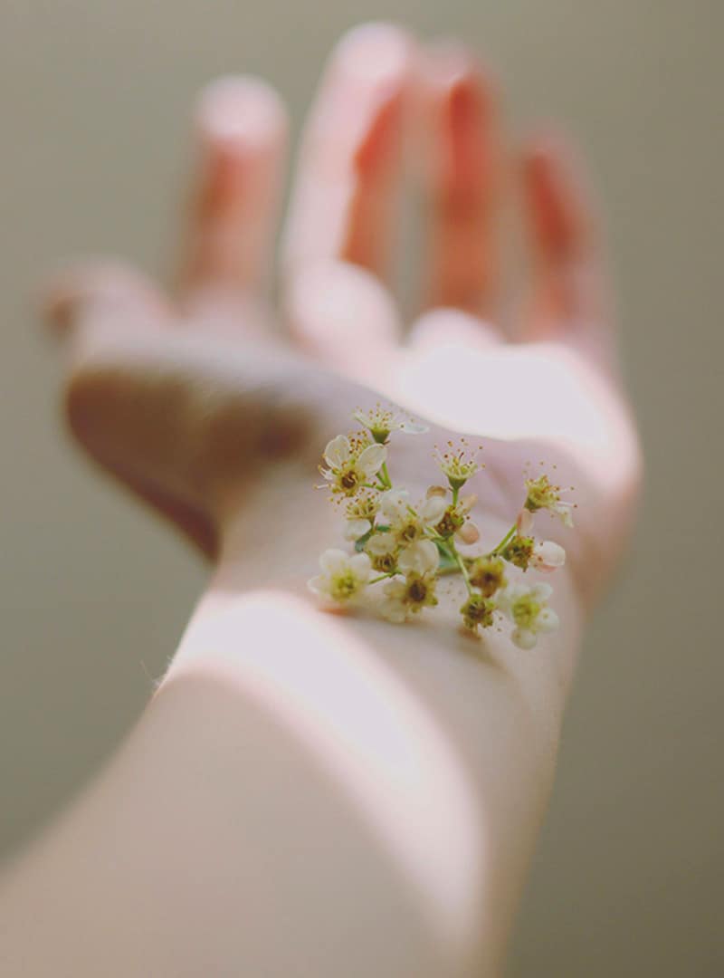plante posée allergène - allergies roanne